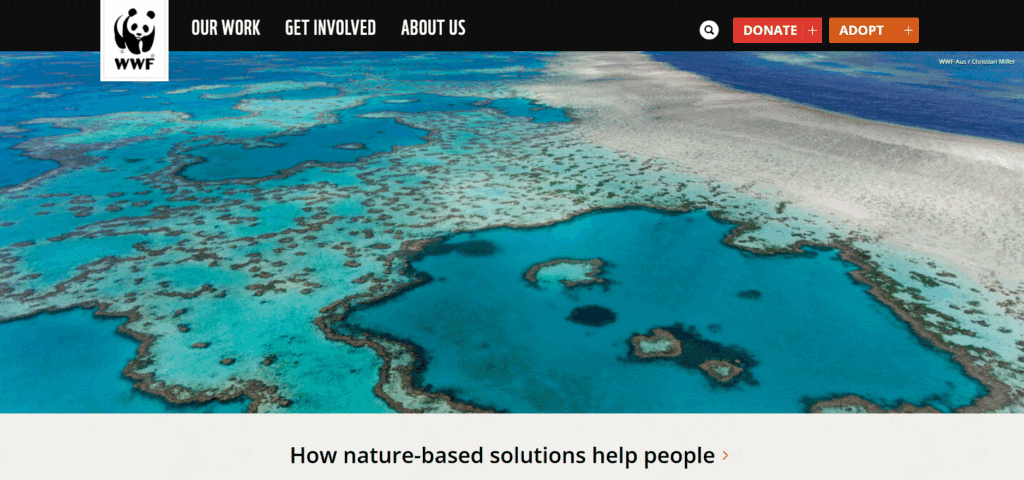 10 best nonprofit websites, World Wildlife Fund