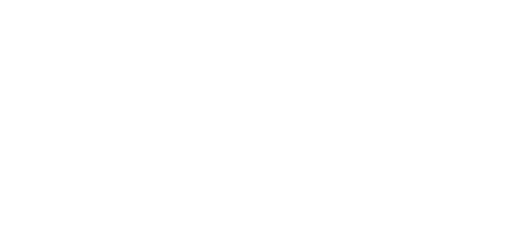 AuditLogo-Everett